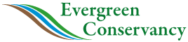 EC Logo